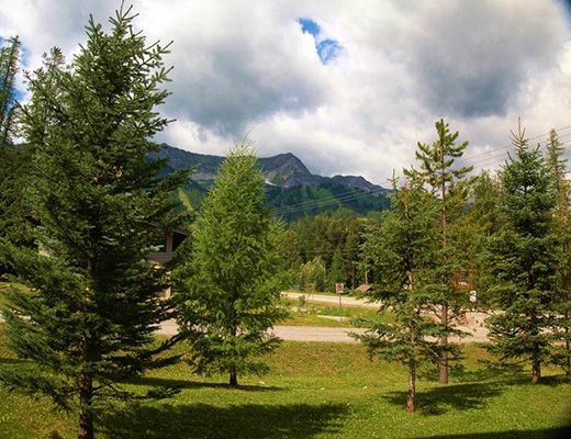 Timberline Lodge T526 - 2 Bdrm (Platinum Balsam) - Fernie