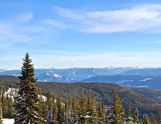 Grandview #304 - 2 Bdrm - Silver Star (VC)