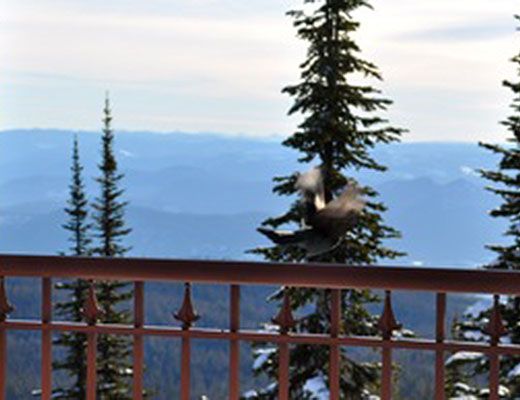 Grandview #304 - 2 Bdrm - Silver Star (VC)
