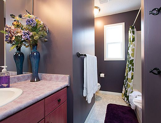 Purple Palace Main - 4 Bdrm + Loft HT (E) - Silver Star (VC)