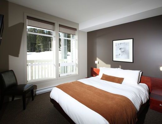 FireLight Lodge - 3 Bdrm Premium HT (South Side) - Silver Star