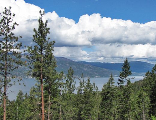 Treetop Lakeview Home - 2 Bdrm + Loft - Lake Country